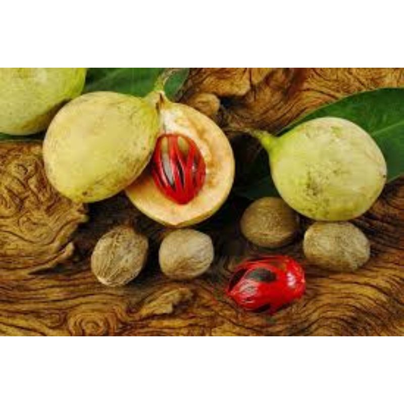 

Promo 500 gram buah pala fresh & organic