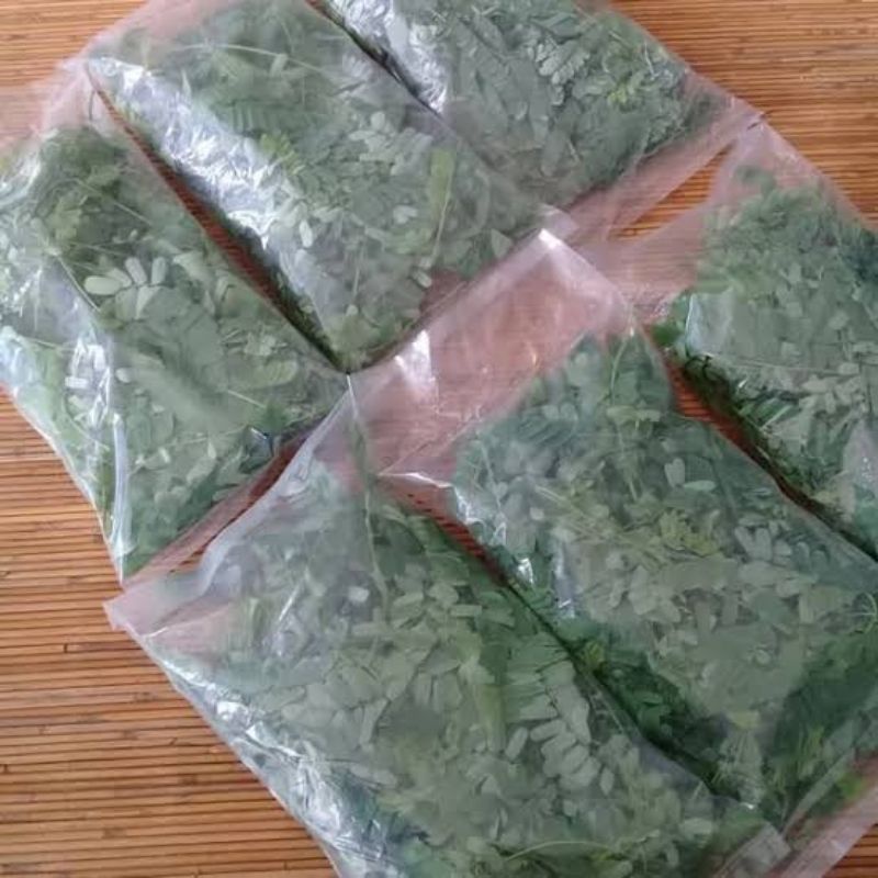 Jual Gram Daun Saga Sogo Segar Obat Herbal Untuk Batuk Sariawan Panas Dalam Amandel Shopee