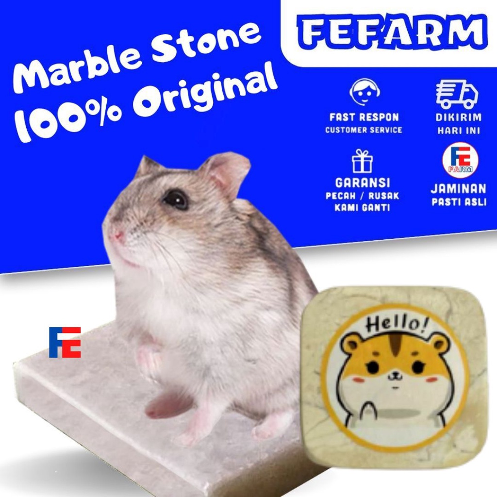 MARBLE PAD - Marble Cooling Pad Hamster Pendingin Hamster Alas Tidur Hamster Marmer Pendingin Hamster FEFARM