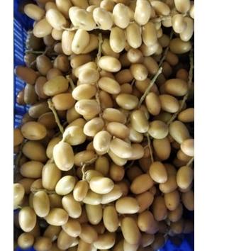 

FREE ONGKIR!Kurma Muda Promil Fresh Kemasan 500 Gr|KD7