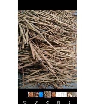 

⤵ Cinnamon atau Kayumanis Paling Murah dan Bagus ㍽