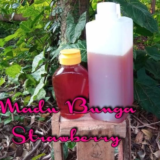 

BEST SALES MADU STROBERI 1KG SUPER TOP MADU LIMITED EDITION