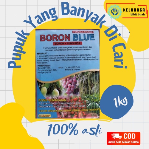 Pupuk Bibit Pohon Anggur BORON BLUE MURNI 100%