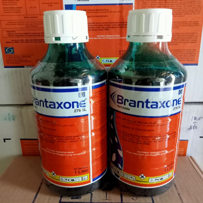 Herbisida Kontak Brantaxone 276 SL 1 Liter Pembasmi Rumput Liar Cepat Mati Kering Obat Rumput Paraqu