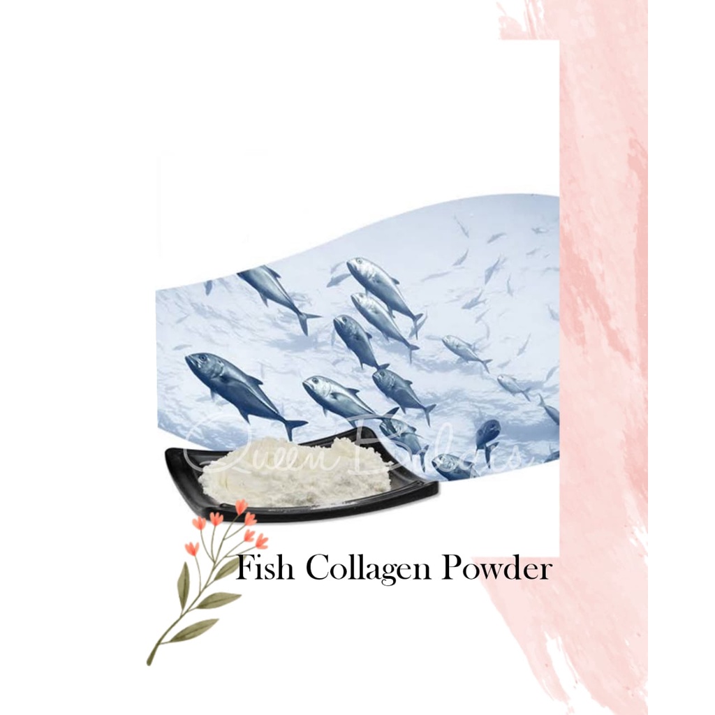 Jual Fish Collagen Powder / Collagen Ikan / Kolagen Ikan Bubuk 10 gr