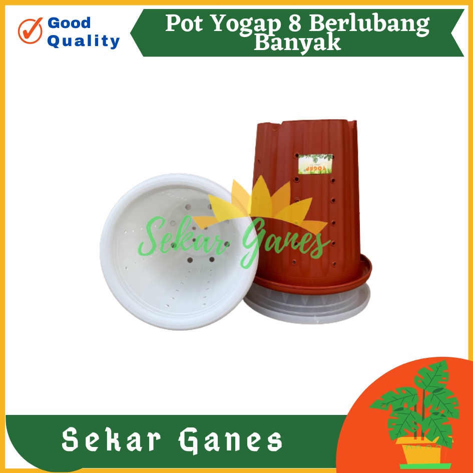 PROMO Pot Yogap 8 BERLUBANG Putih Bening Transparan Merah Bata Merah Coklat Terracota Terracotta-POT BUNGA YOGAP YPT 13 BERLUBANG BENING / TRANSPARAN PUTIH &amp; MERAH BATA | POT TANAMAN HIAS