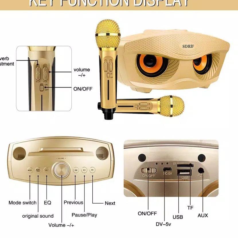 Come--Speaker Bluetooth Karaoke SDRD 306 / 309 ORI 100% SD306 SD309 Dual Microphone Wireless SDRD SD