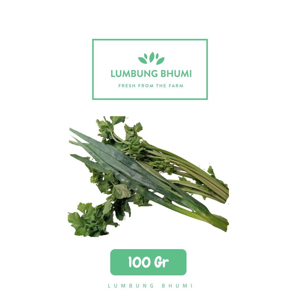 

Lumbung Bhumi - Daun Bawang Seledri 100 Gr ( Sayur Curah )