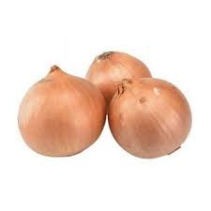 

Bawang Bombai Segar Toko Sembako Rayyanza