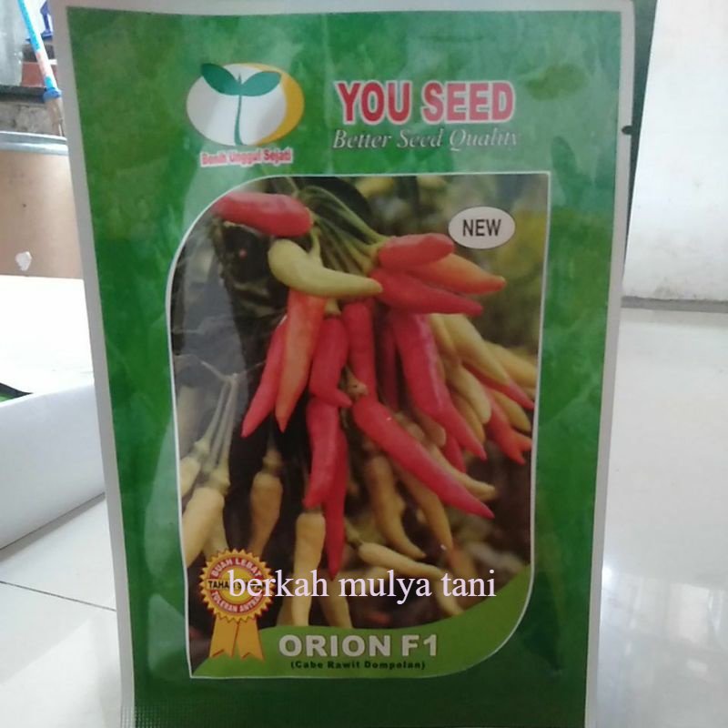 benih cabe rawit orion f1
