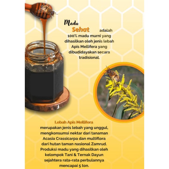 

Madu sehat 100% Tanpa Campuran (Madu Hitam Hutan Riau)