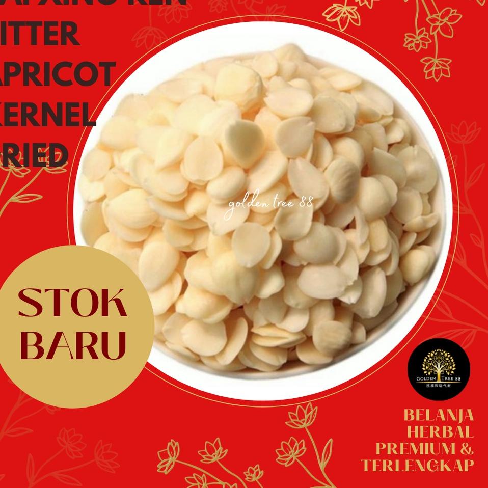 

Discount Today 100 gram Premium Bai Xing Ren Apricot Seed Bitter Apricot Kernal Fresh Original 