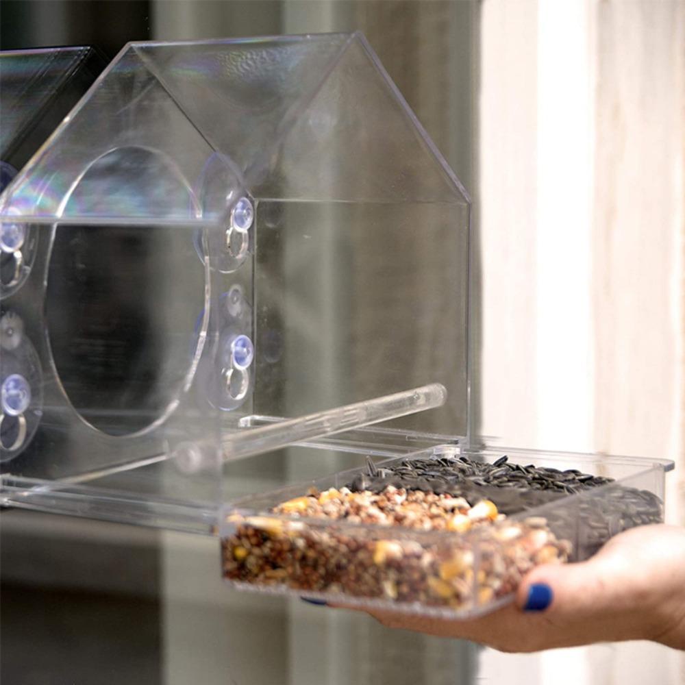 Chookyy Burung Gantung Feeder Glass Window Suction Cup Makanan Makan