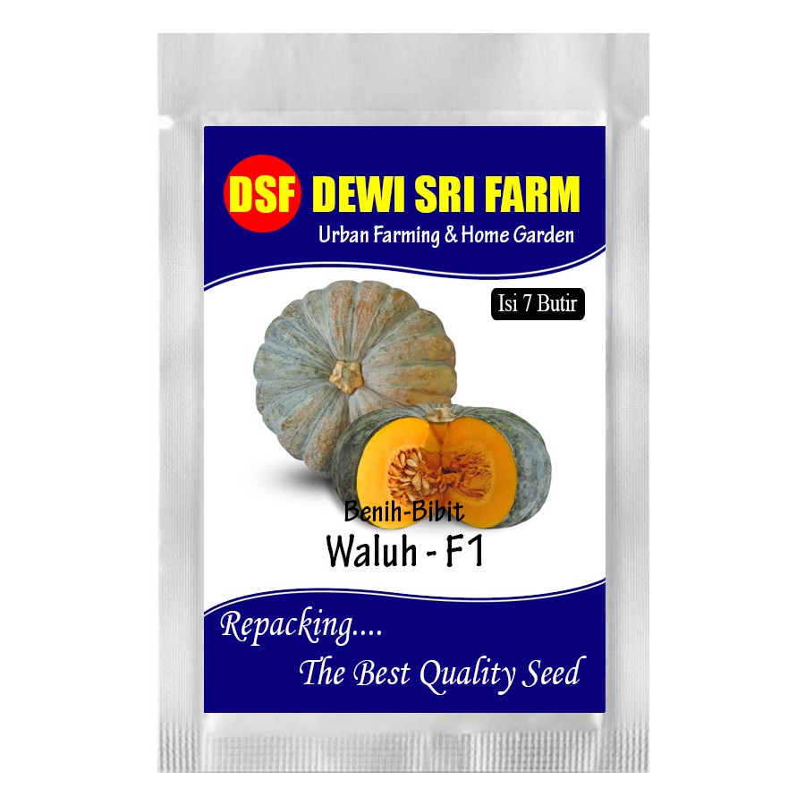 waluh - ±7 biji benih bibit waluh labu kuning