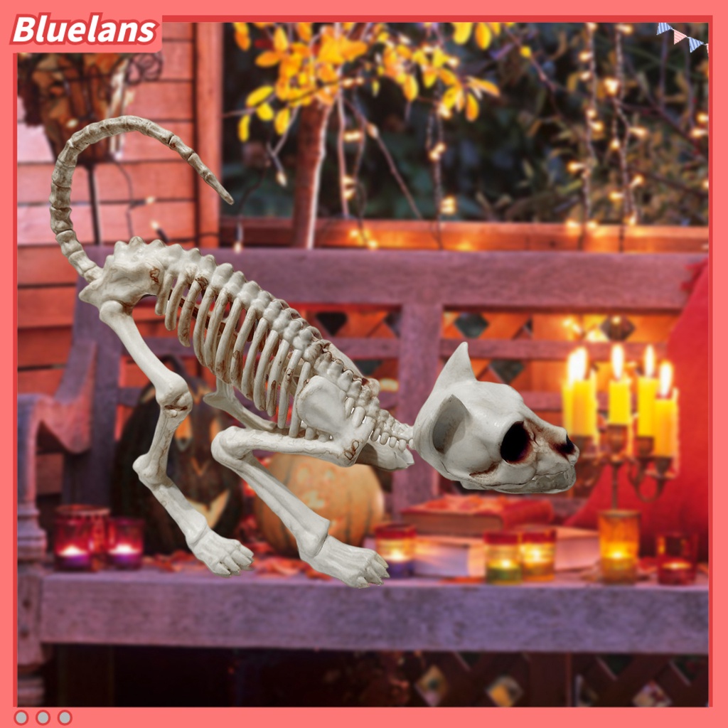 Ornamen Tengkorak Kucing Bahan Plastik Untuk Dekorasi Halloween