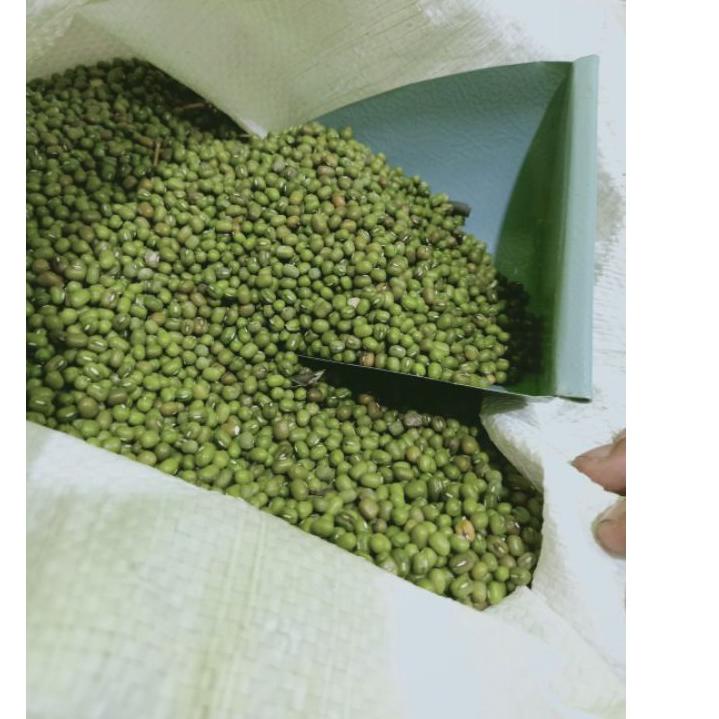 

id2i2Hw--Kacang Hijau Birma Import India 500G Setengah Kilo Grade A Fresh