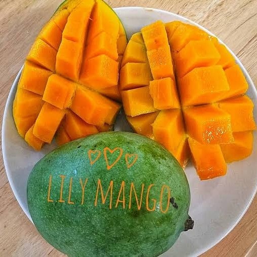 

Mango Lily/ Mangga Lily