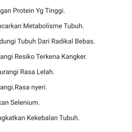 jerat racik gantung ,burung ruak ruak - Putih