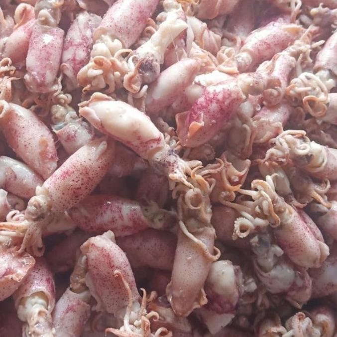 

READY ✅Ikan asin cumi Beby 500gr 1sampai 4cm/cumi asin baby /rebus/basa/cumi asin kecil|SQ2