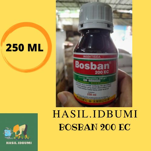 Insektisida Bosban 200 EC 250ml ( Insektisida Dursban )