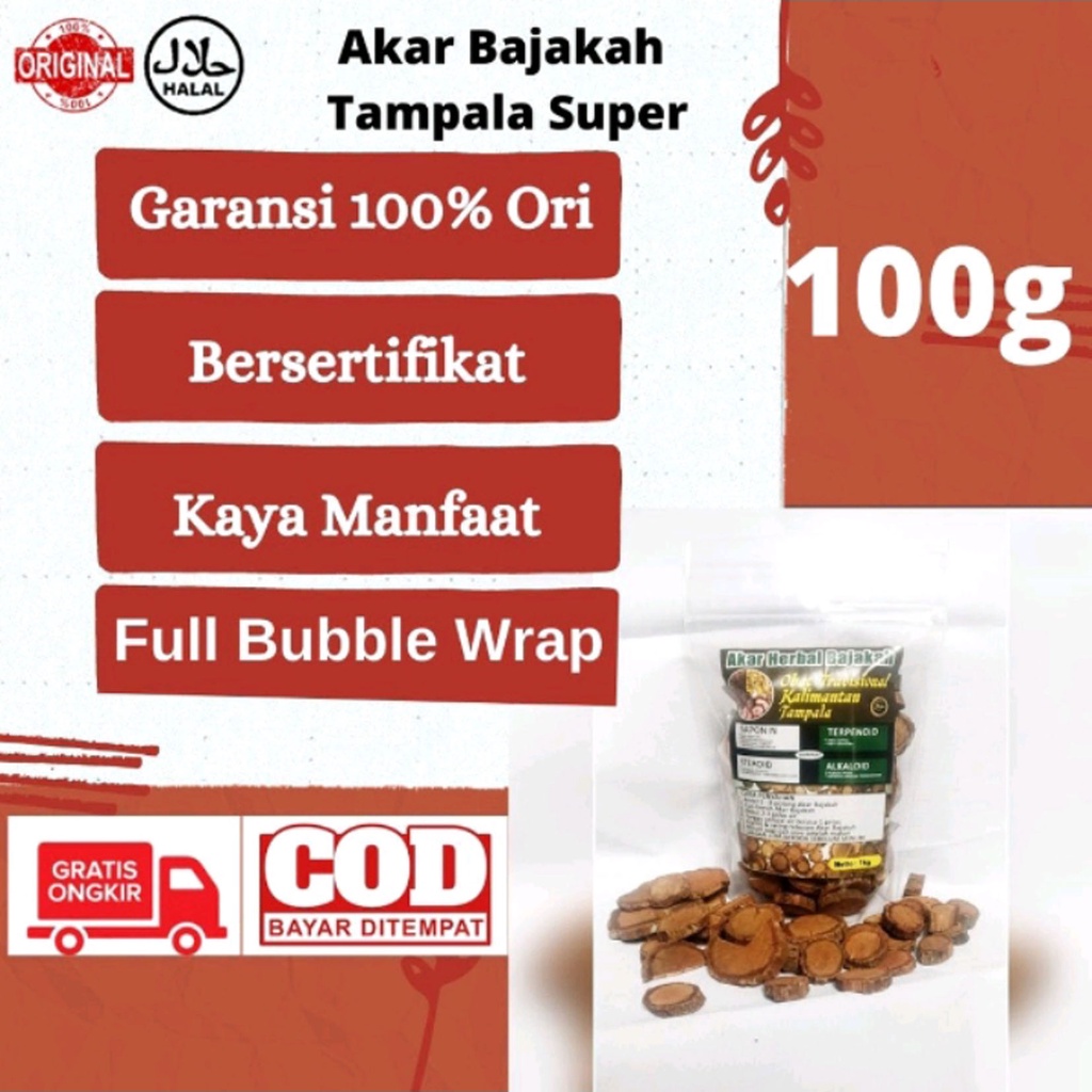 Jual Akar Herbal Bajakah Asli Kalimantan Kayu Tampala Merah Super