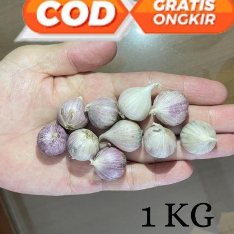 

Codee3E8q--Bawang Putih Tunggal Lanang Jamin Bagus dan Fresh