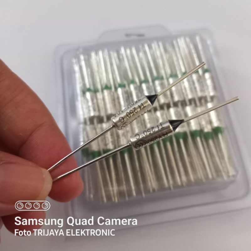 Thermofuse Megicom Fuse Setrika 10A 250V