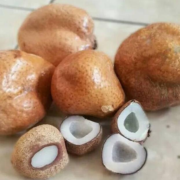 

1Kg Buah Zuriat/ Buah Keturunan Harga Grosir (Zuriat Utuh)