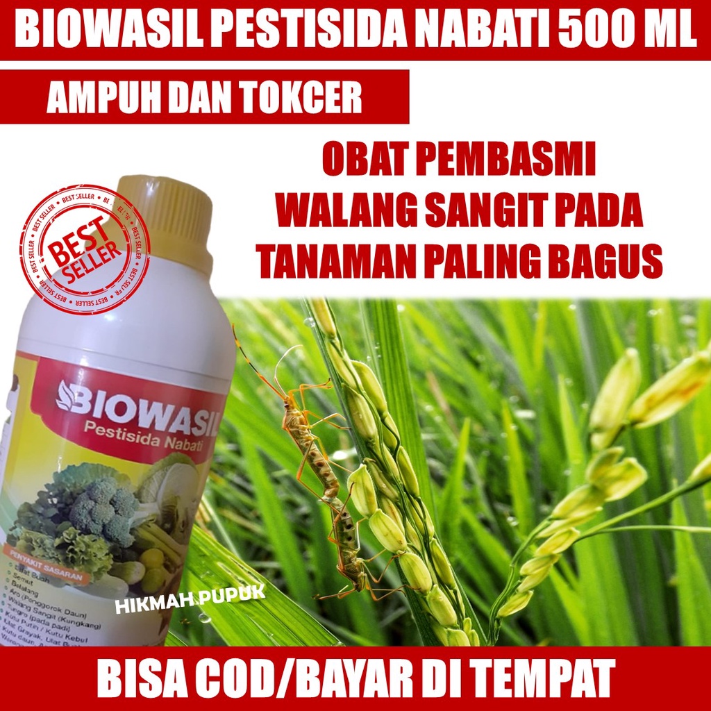 BIOWASIL Obat Hama Tanaman Padi Sawah Walang Sangit Paling Ampuh - Obat Pembasmi Walang Sangit Obat 