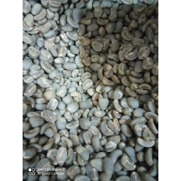 

Green Bean Arabica Lintong Grade 1 Original / Tanpa Blending / Tidak Pencampuran