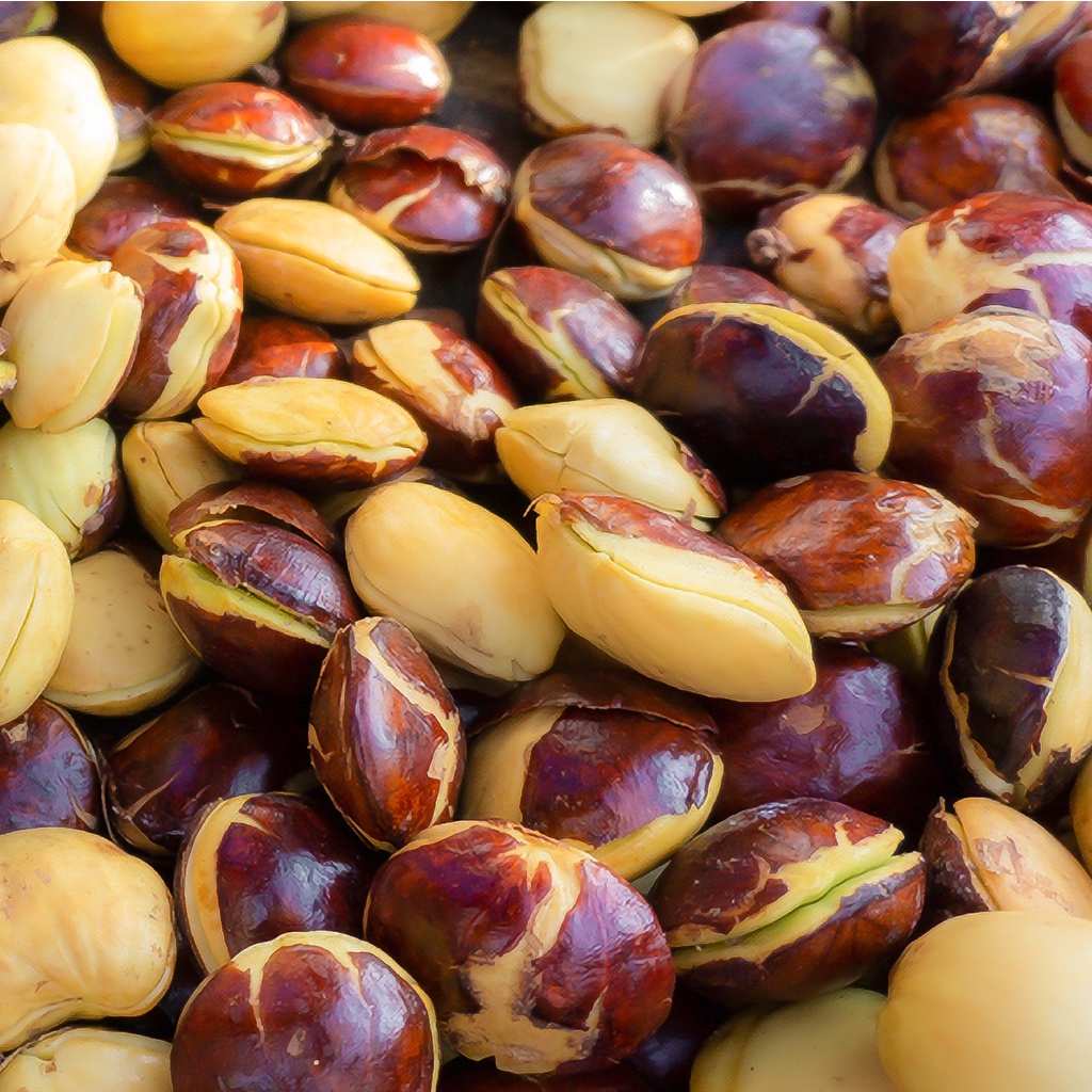 (SEPI) Jengkol Tua Mentah 1 Kg (1000gr) Satu Kilo - Jengkol Tua Mentah 1kg super (sepi)  - Sayuran S