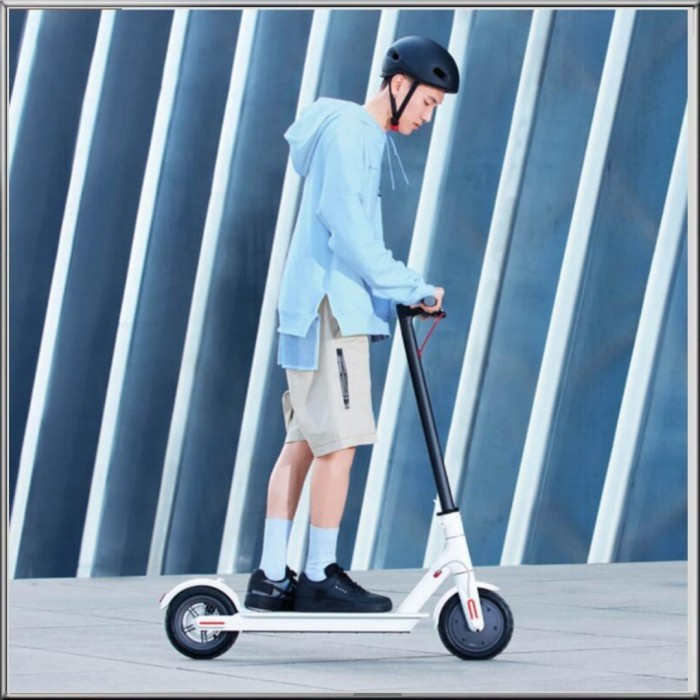 Electric scooter 1s Upgrade from Skuter M365 with LCD