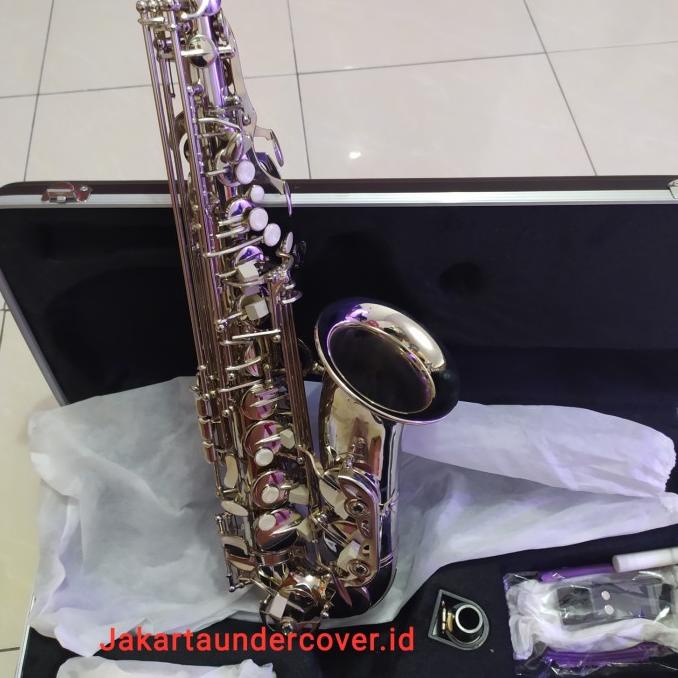 Saxophone alto Cowboy import original fullset hardcase rare colour