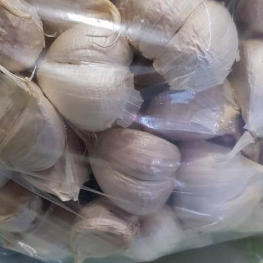 

EXCLUSIVE!Bawang Putih Kating Bersih 1 kg (lepas dari bonggol)|KD2