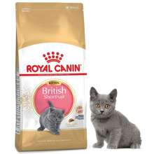 royal Canin Kitten British 2kg Royal Canin