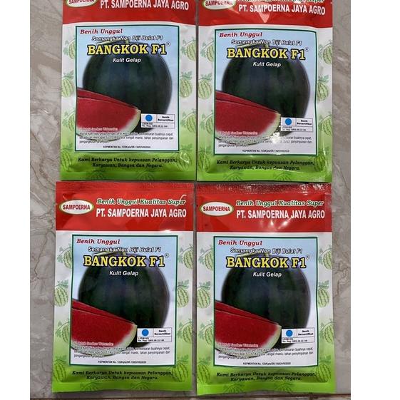 {SRG.18Oc22ᴾ} Semangka Non biji bulat BANGKOK F1