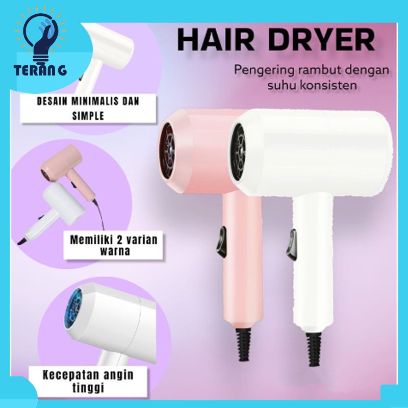 Alat Pengering Rambut Portable/Professional Ionic Hair Dryer