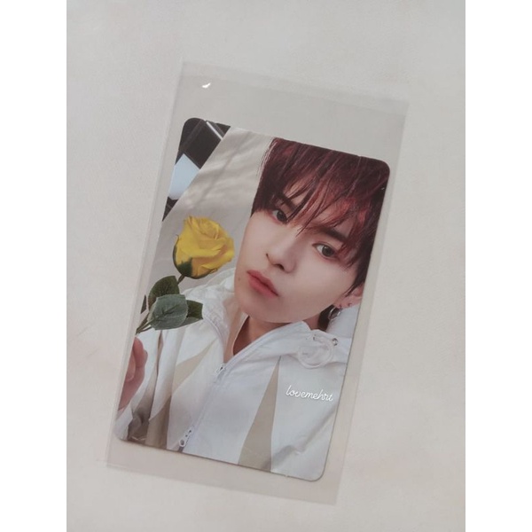 Jual Pc Photocard Yoshi Treasure Tss Blue Ver Shopee Indonesia