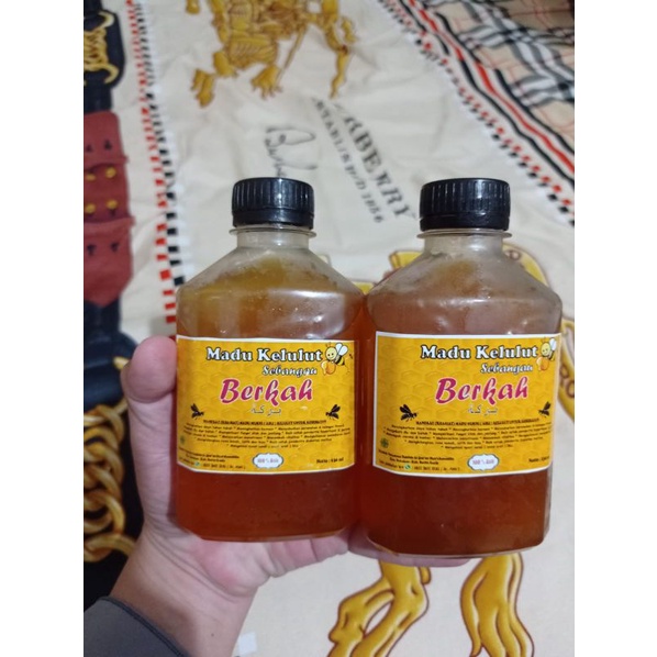 

Madu Kelulut (klenceng) BERKAH 100% asli, dari Hutan Sebangau kal-teng