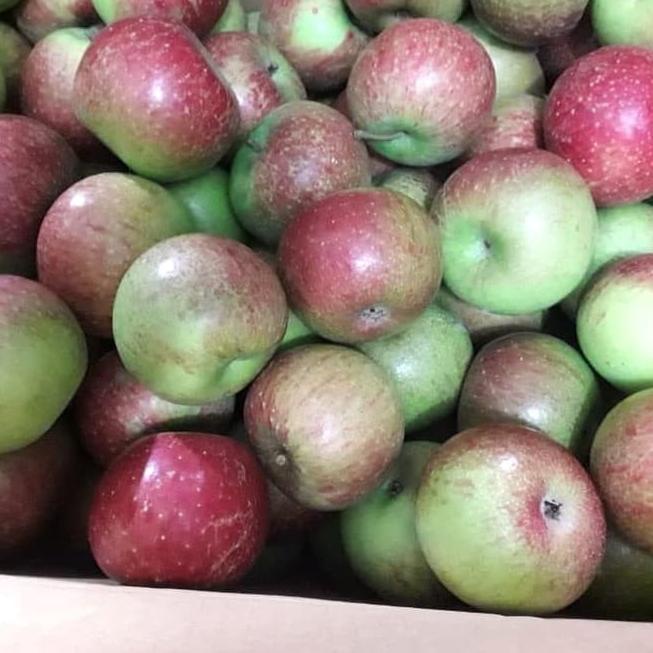 

PROMO HARI INI Buah Apel Malang Manis Fresh Segar 1 Kg serbuuu !