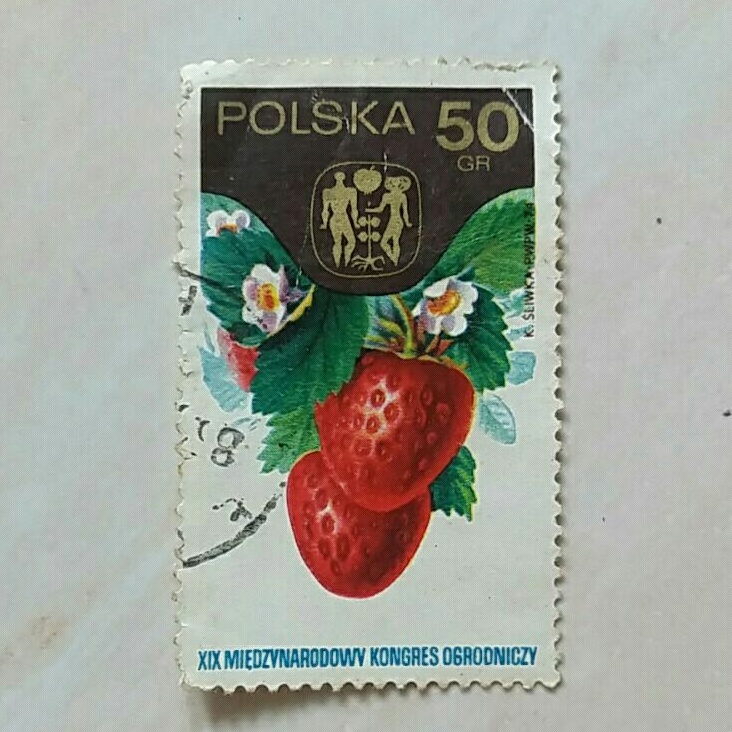 

(AD) Perangko Polandia 19th Intl. Hortcultural Cong., Warsaw - Strawberries (Fragaria grandiflora) 50gr Used