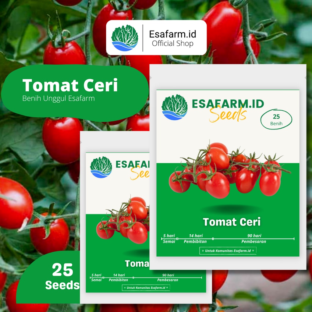 Benih Tomat Mini / Ceri Manis F1 25 Biji Bibit Unggul Garansi Tumbuh Buah Lebat