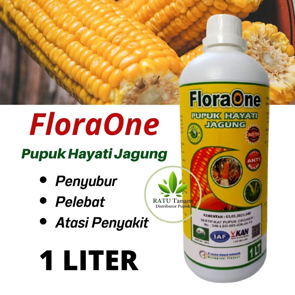 Pupuk Hayati Jagung Manis, FLORAONE Pupuk Jagung Hibrida Atasi Penyakit Bercak Daun Busuk Pelepah