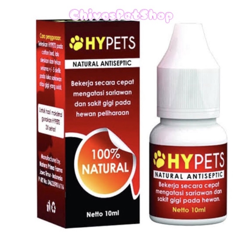 HYPTES MENGOBATI SARIAWAN KUCING DENGAN CEPAT (AMPUH)