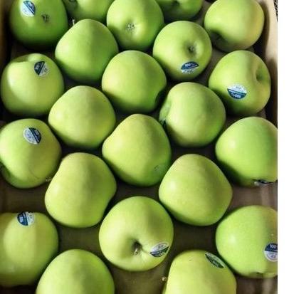 

PROMO HARI INI Apel Granny Smith Per Kg grosir