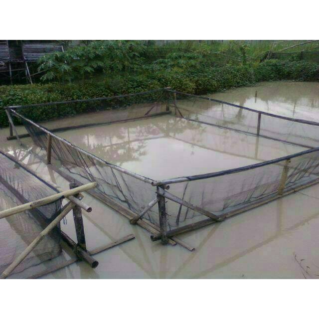 

Termurah Waring Keramba Ukr 2X4X1