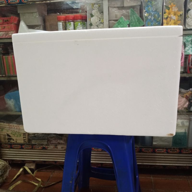 Box Styrofoam Serbaguna cooler box ikan Besar 52 x 37 x 32 cm