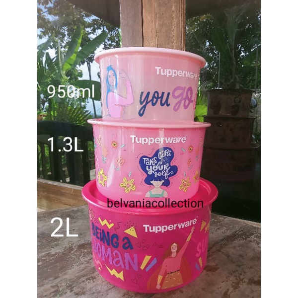 Toples susu toples power canister Tupperware satuan