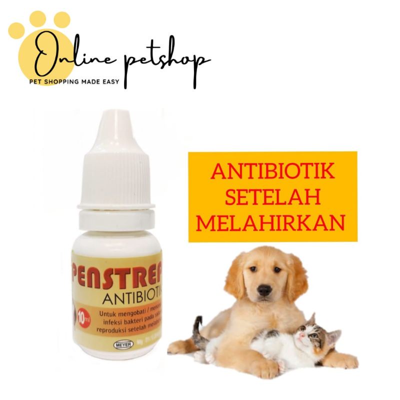 PENSTREP ANTIBIOTIK SETELAH MELAHIRKAN UNTUK KUCING