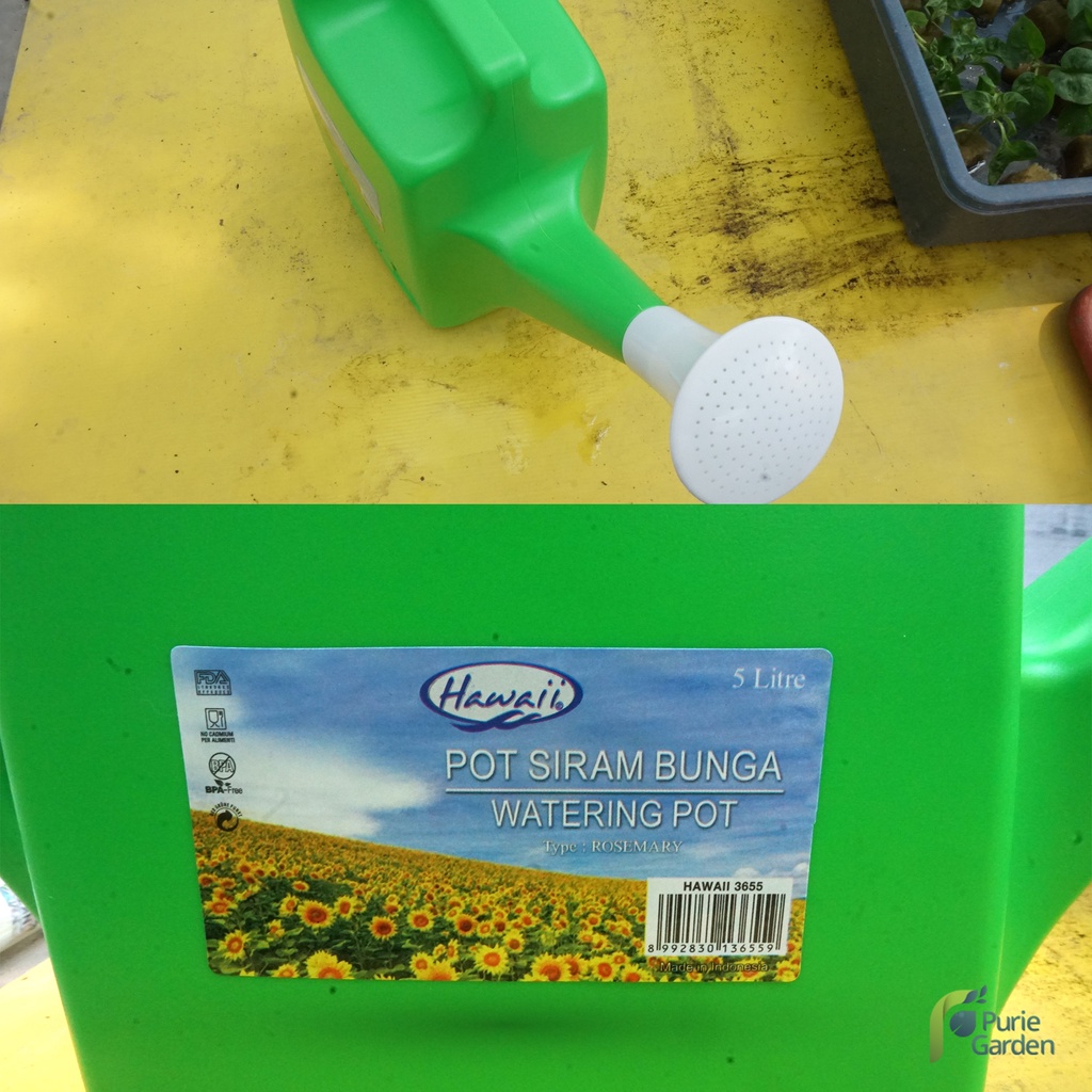 Siraman Penyiram Tanaman Hawai Rosemary 5 Liter PG KDR